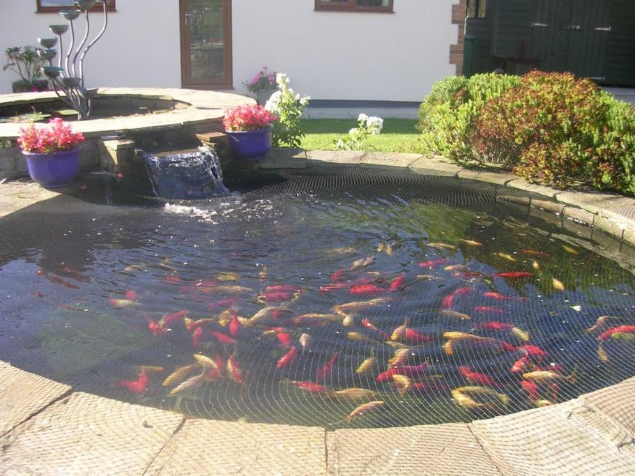 Coastal Garden Lodge Preesall Esterno foto